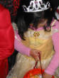 trickortreaters2/IMG_5214.JPG